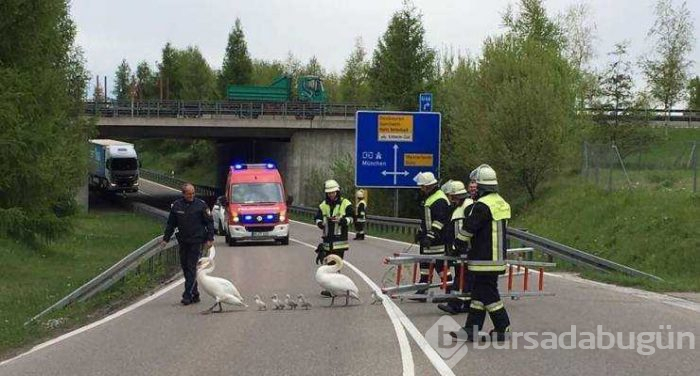 Günün en çok paylaşılan fotoğrafları (10.05.2019)