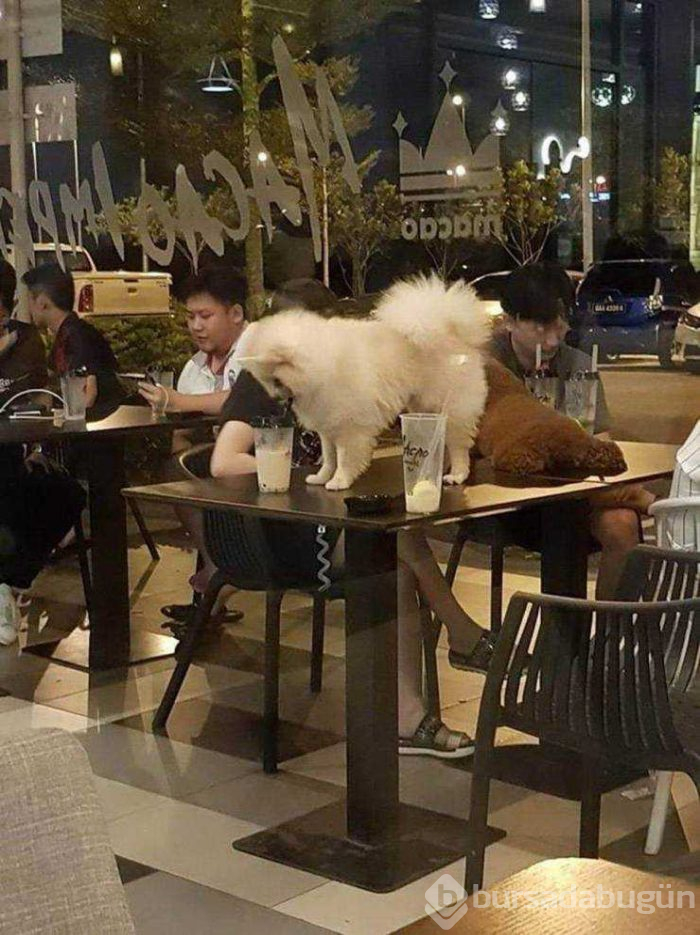 Günün en çok paylaşılan fotoğrafları (10.05.2019)
