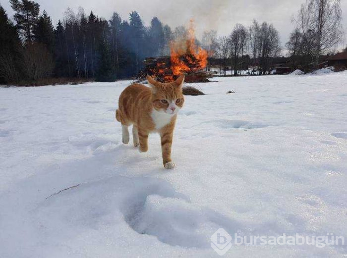Günün en çok paylaşılan fotoğrafları (10.05.2019)