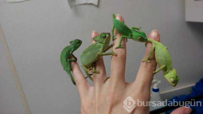 Günün en çok paylaşılan fotoğrafları (10.05.2019)