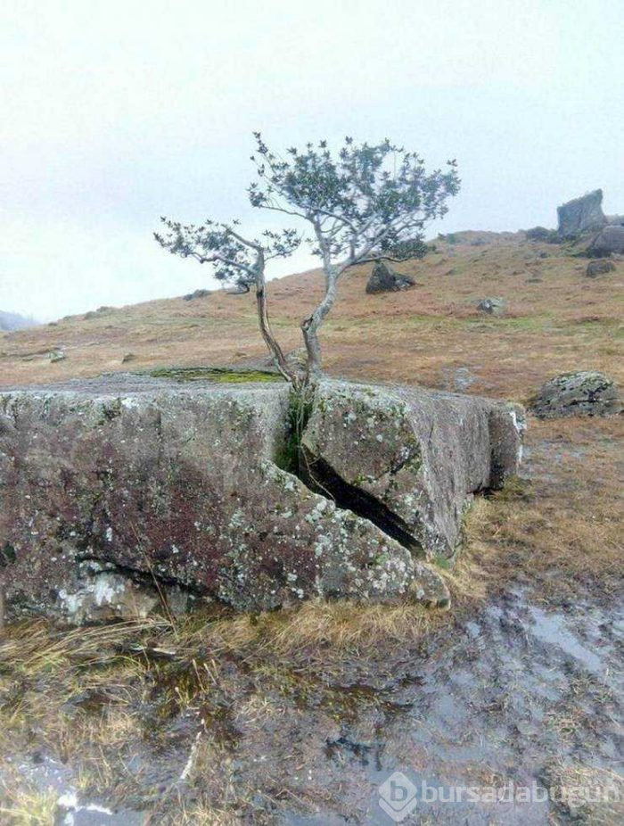 Günün en çok paylaşılan fotoğrafları (10.05.2019)