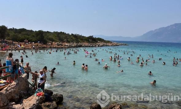 Tatile gidecekler dikkat! Hangi ilde kaç tane mavi bayraklı plaj var?
