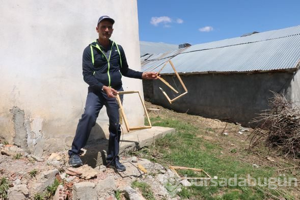 Aç kalan ayılar evleri bastı
