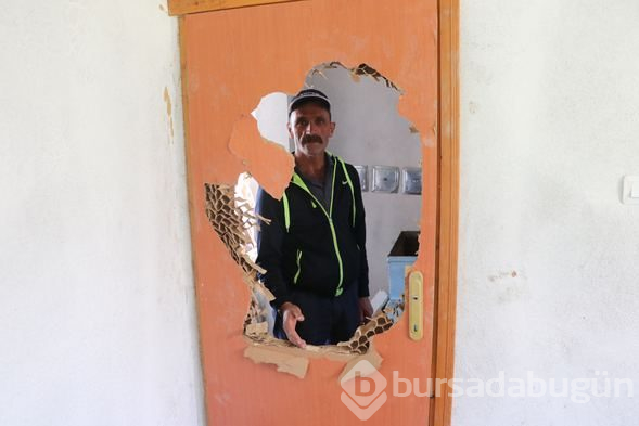 Aç kalan ayılar evleri bastı
