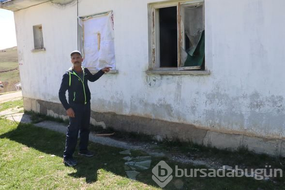 Aç kalan ayılar evleri bastı
