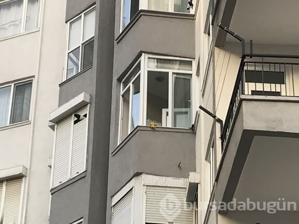 Cam silmek için çıktığı pencereden düşerek öldü
