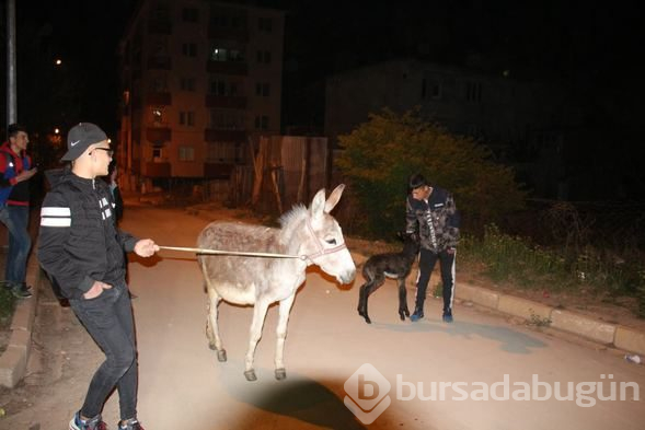 Sokakta oynarken eşeğin doğum yaptığını görünce...
