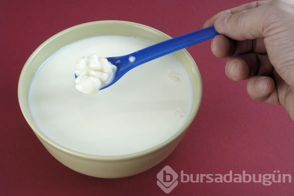 Probiyotiklerin vücudumuza 5 önemli etkisi!
