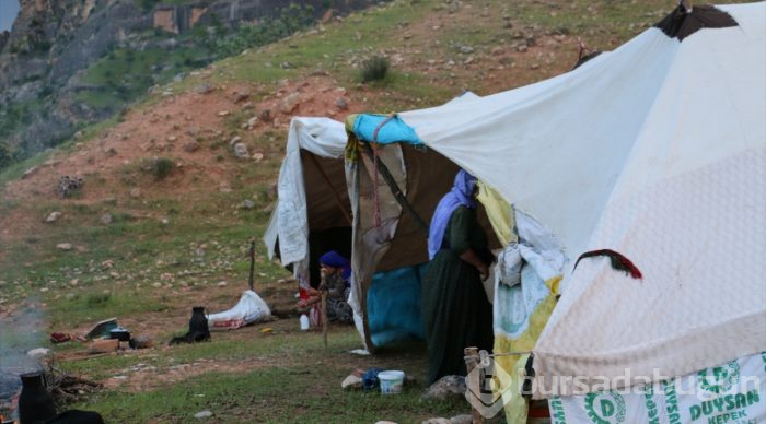 Göçerlerin zorlu yayla yolculuğu
