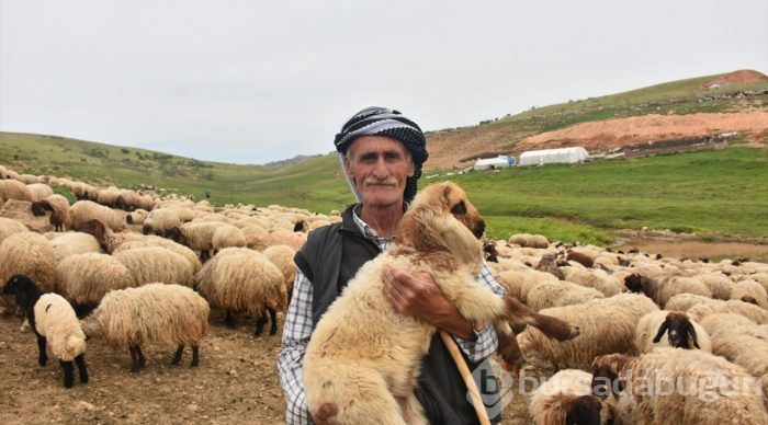 Göçerlerin zorlu yayla yolculuğu
