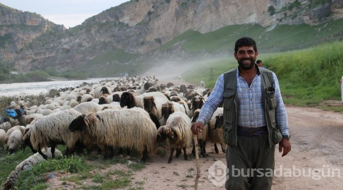Göçerlerin zorlu yayla yolculuğu
