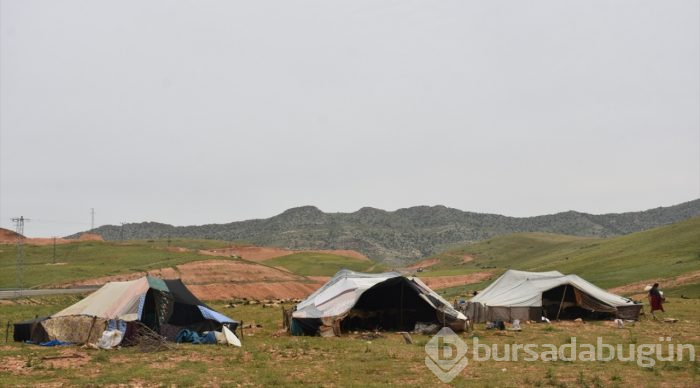 Göçerlerin zorlu yayla yolculuğu
