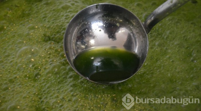 Ramazanda "yeşil bomba" damak çatlatıyor
