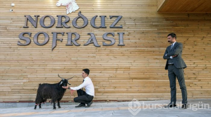 Geliri çocukların eğitimine giden sofra: Norduz Sofrası
