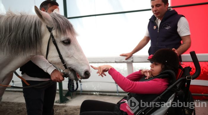 Atlar engellilere terapi oluyor
