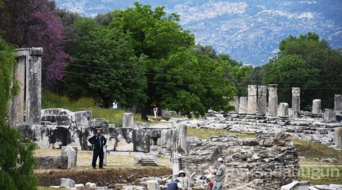 Lagina'nın sütunları ayağa kaldırılıyor
