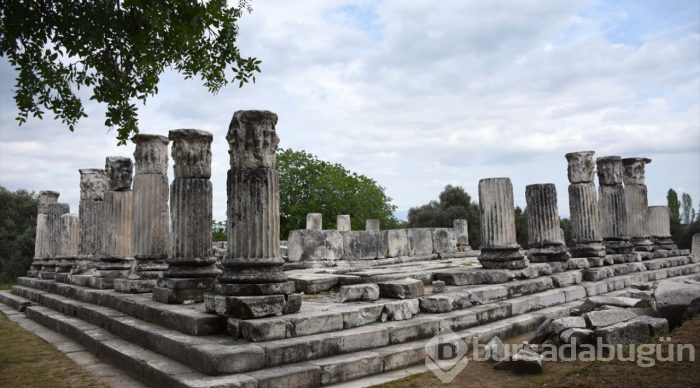 Lagina'nın sütunları ayağa kaldırılıyor
