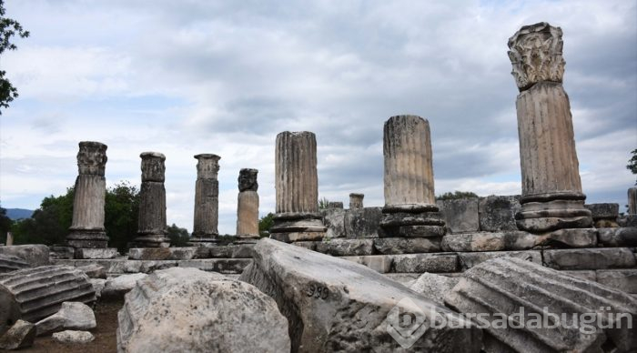 Lagina'nın sütunları ayağa kaldırılıyor

