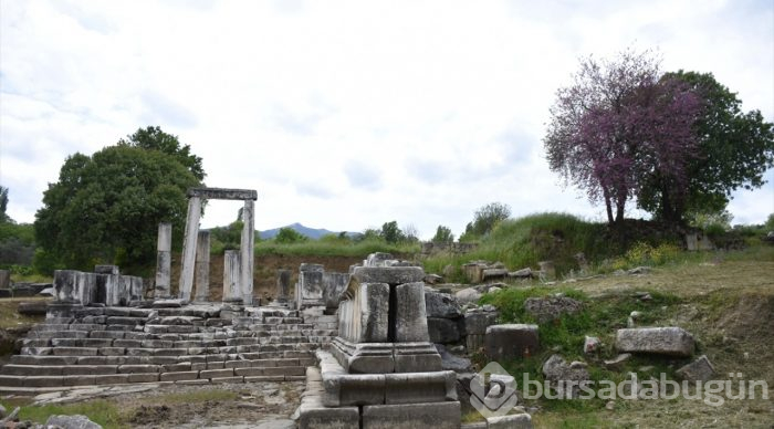 Lagina'nın sütunları ayağa kaldırılıyor
