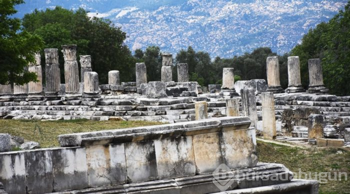 Lagina'nın sütunları ayağa kaldırılıyor
