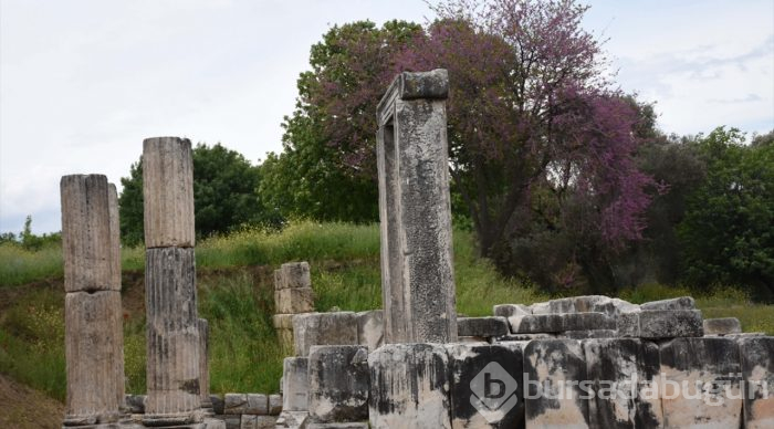 Lagina'nın sütunları ayağa kaldırılıyor

