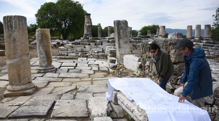 Lagina'nın sütunları ayağa kaldırılıyor
