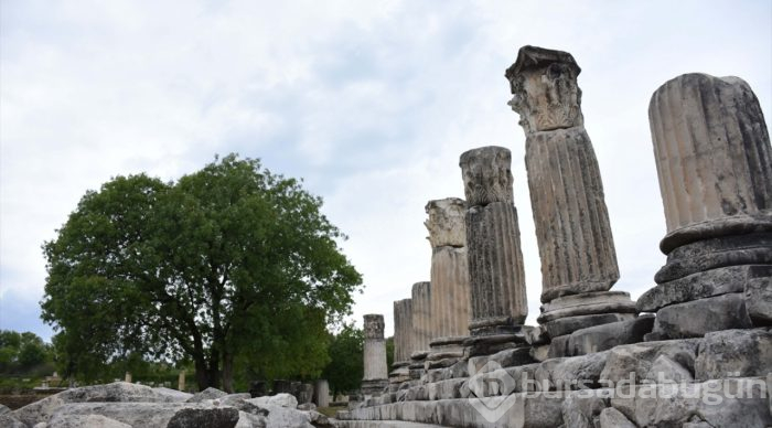 Lagina'nın sütunları ayağa kaldırılıyor
