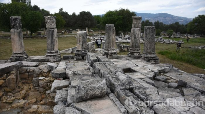 Lagina'nın sütunları ayağa kaldırılıyor
