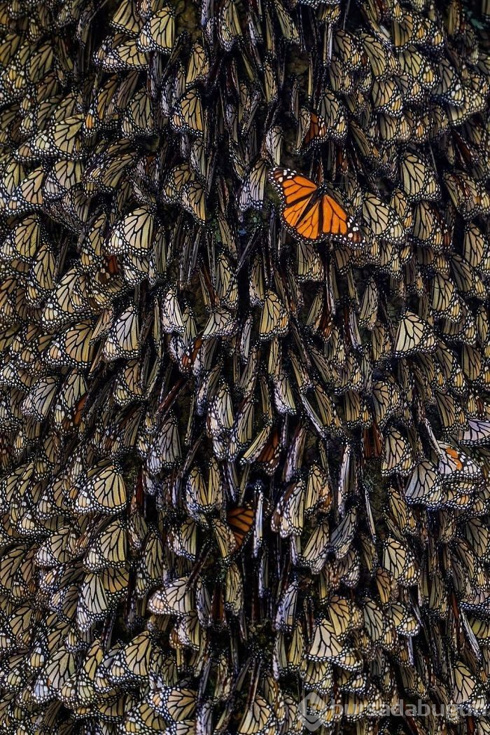 "2019 National Geographic Seyahat Fotoğraf Yarışması" finalistlerinden 30 nefes kesen fotoğraf