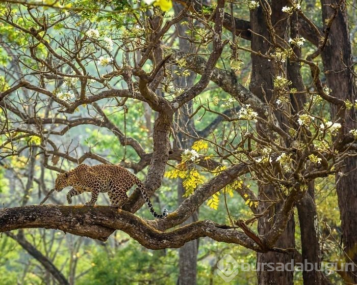 "2019 National Geographic Seyahat Fotoğraf Yarışması" finalistlerinden 30 nefes kesen fotoğraf
