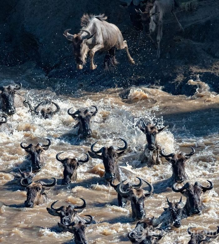 "2019 National Geographic Seyahat Fotoğraf Yarışması" finalistlerinden 30 nefes kesen fotoğraf