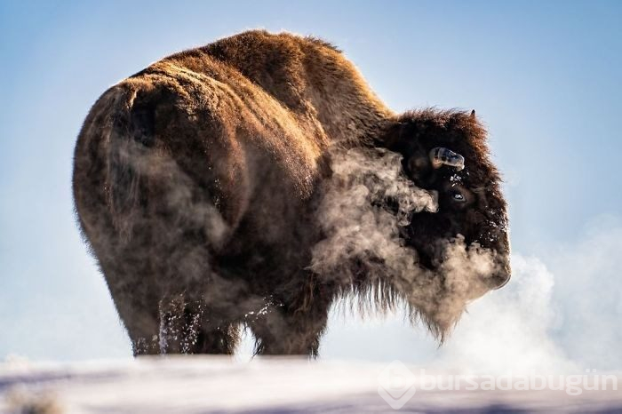 "2019 National Geographic Seyahat Fotoğraf Yarışması" finalistlerinden 30 nefes kesen fotoğraf