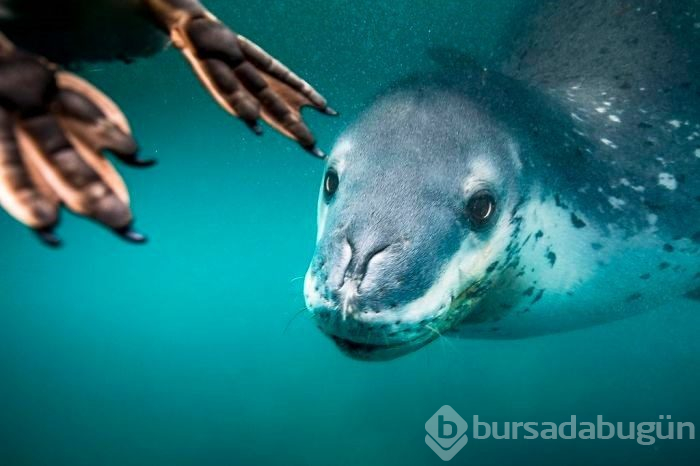 "2019 National Geographic Seyahat Fotoğraf Yarışması" finalistlerinden 30 nefes kesen fotoğraf