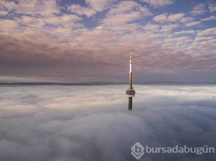 Günün en çok paylaşılan fotoğrafları (15.05.2019)