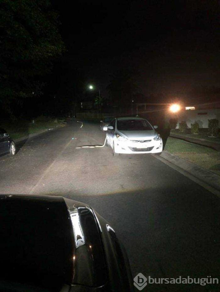 Günün en çok paylaşılan fotoğrafları (15.05.2019)