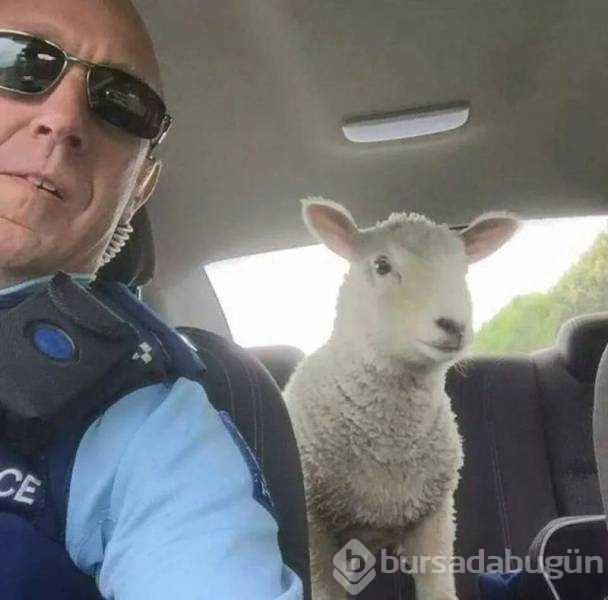 Günün en çok paylaşılan fotoğrafları (15.05.2019)