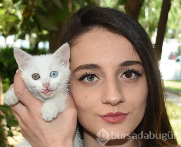 Simay'ın da kedisi Dombi'nin de bir gözü, diğerinden farklı
