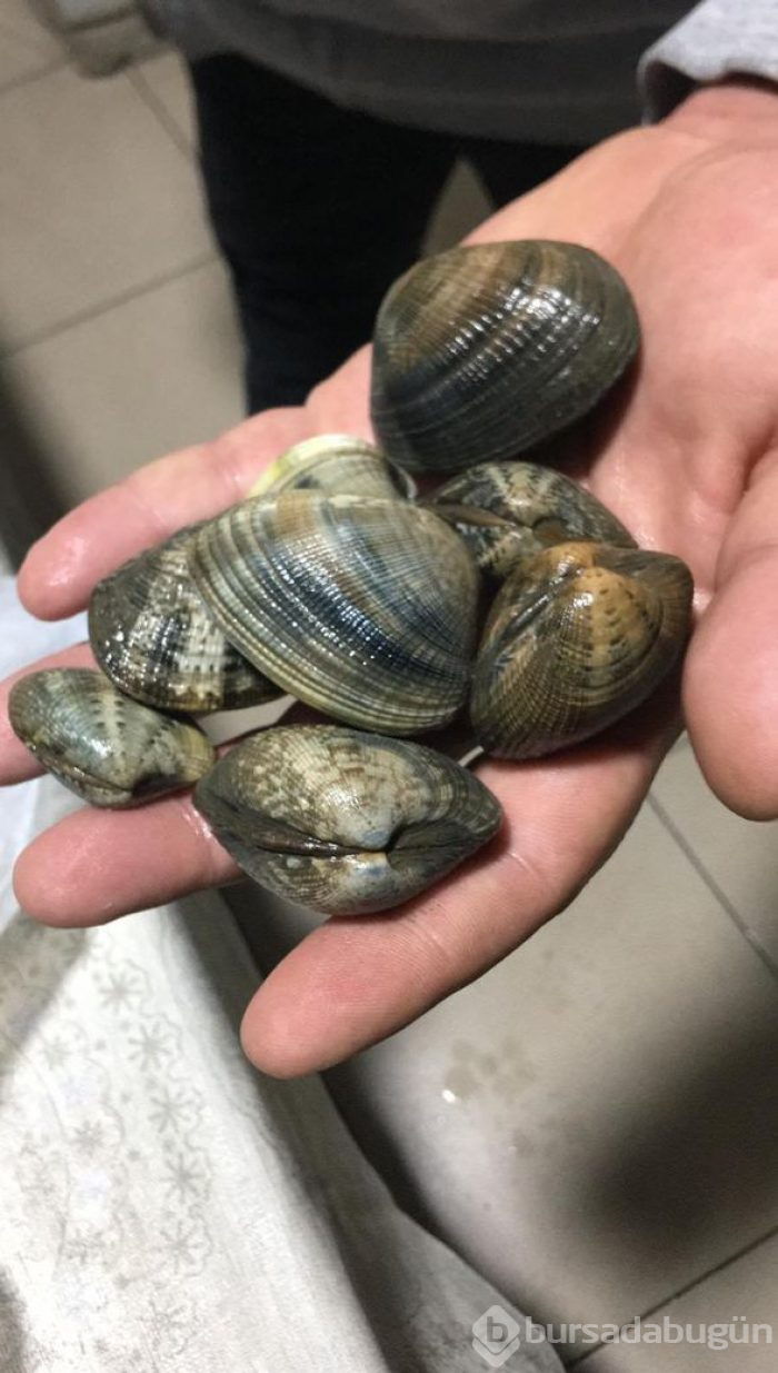 Yunanistan'a götüreceklerdi! Tam 1 ton...
