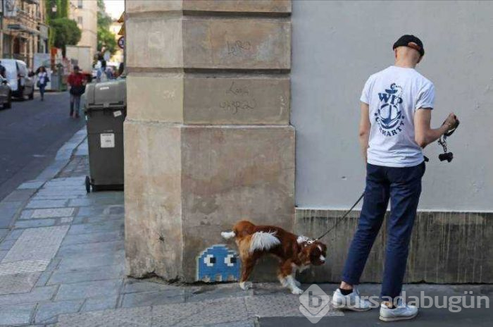 Günün en çok paylaşılan fotoğrafları (16.05.2019)