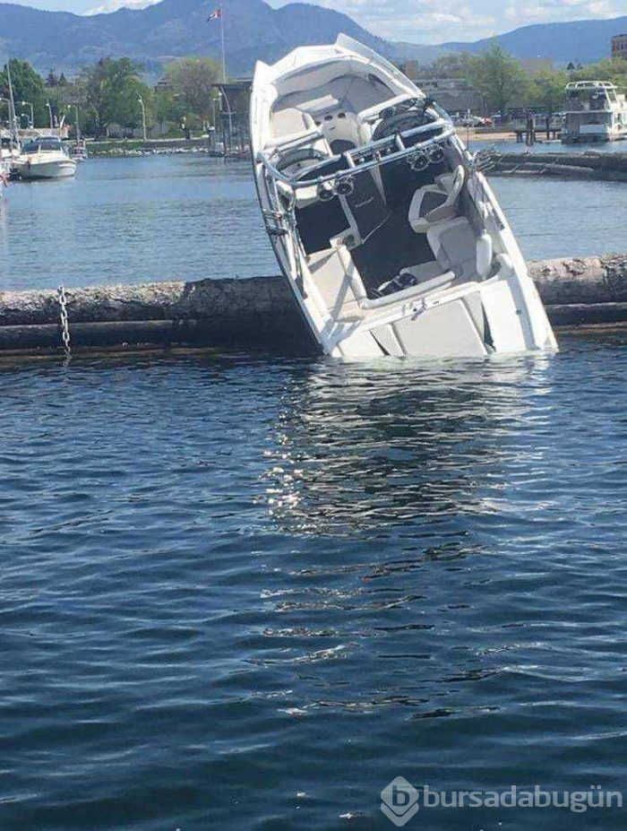 Günün en çok paylaşılan fotoğrafları (16.05.2019)