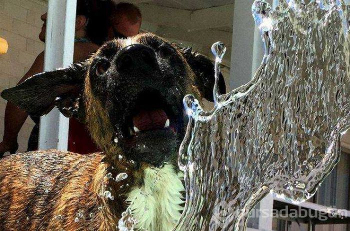 Günün en çok paylaşılan fotoğrafları (16.05.2019)