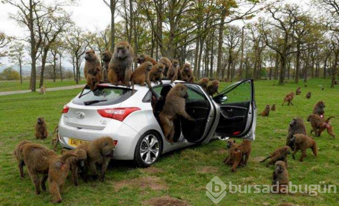 Günün en çok paylaşılan fotoğrafları (16.05.2019)