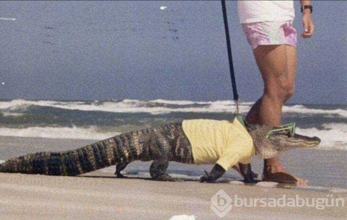 Günün en çok paylaşılan fotoğrafları (16.05.2019)