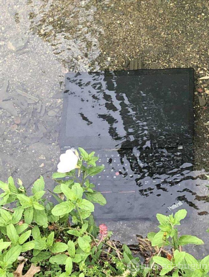 Günün en çok paylaşılan fotoğrafları (16.05.2019)