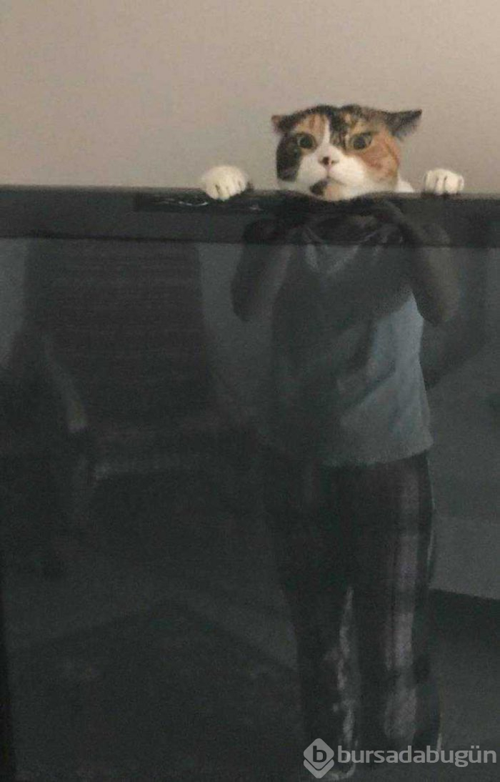 Günün en çok paylaşılan fotoğrafları (16.05.2019)