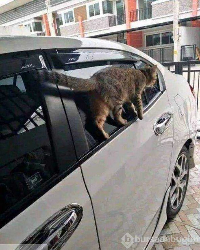 Günün en çok paylaşılan fotoğrafları (16.05.2019)