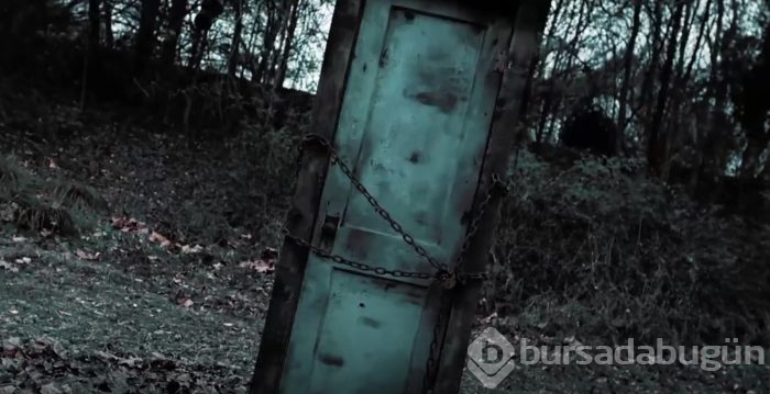 Lanetli Kapı "Paranormal Orman"

