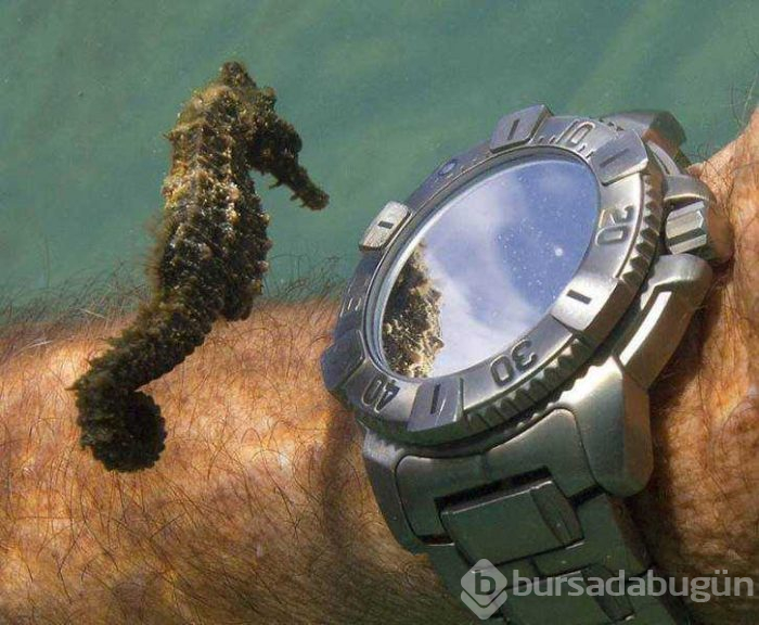 Günün en çok paylaşılan fotoğrafları (17.05.2019)