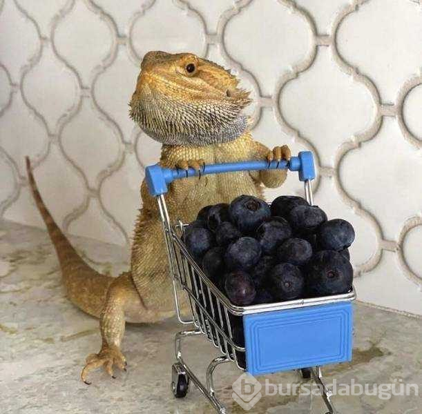 Günün en çok paylaşılan fotoğrafları (17.05.2019)