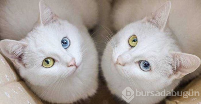 Günün en çok paylaşılan fotoğrafları (17.05.2019)